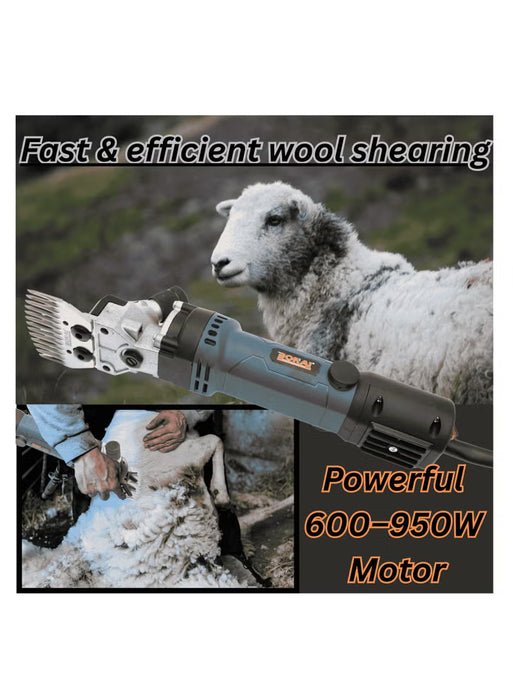 Sheep Clippers (BN-HK82)