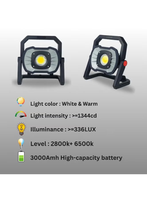 Cordless LED Floodlight (CFL111-B)