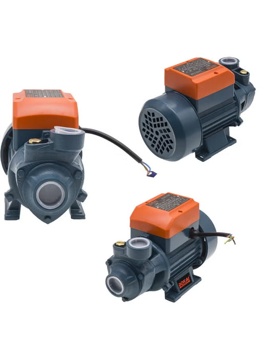 Self Priming Water Pump (BN-HK105)